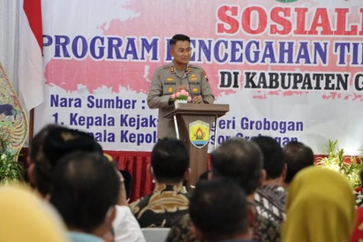 1-354-768x512-1.jpg