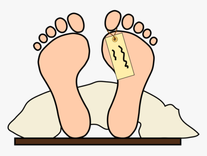81-819170_clip-art-free-person-cliparts-download-mayat-vector-1-768x580-1.png