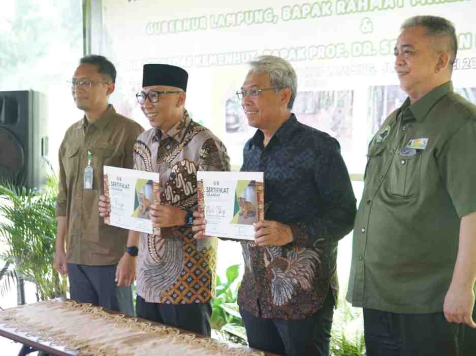 Anak Harimau Sumatera Tampil Perdana, Gubernur Lampung Resmikan Nama