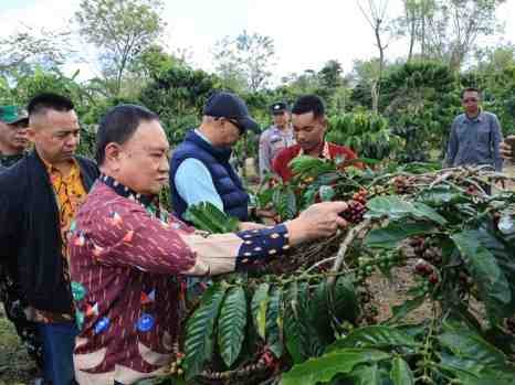 PHC Ubah Wajah Perkebunan Kopi Lampung, Gubernur Mirza Dorong Produktivitas Kopi Meningkat