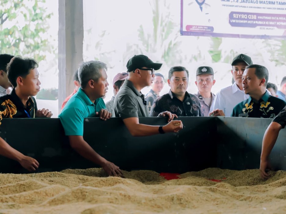 Pemprov Lampung Dorong Hilirisasi Gabah di Tingkat Desa Lewat Bed Dryer