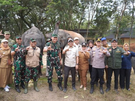Pemprov Lampung dan TNI-Polri Perkuat Mitigasi TNWK, Lindungi Gajah dan Warga