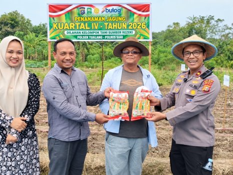 Polsek Tualang Bersama unsur Forkopimcam dan Kelompok Tani Sumber Rezeki Tanam Jagung dilahan 2 Hektare, Dukung Ketahanan Pangan Nasional.