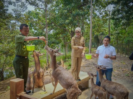 Wagub Jihan Dorong Pengelolaan Hutan Lampung yang Lestari dan Berkelanjutan