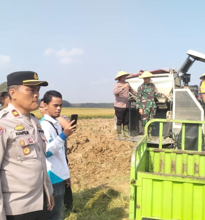 PanenRayaKecamatanLempuing_261161.jpg