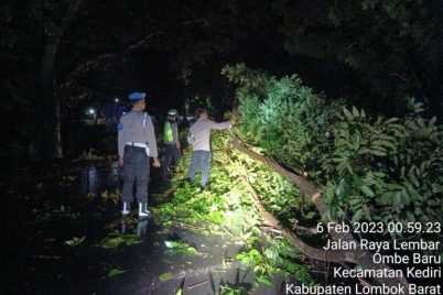 Personel-Gabungan-Polres-Lombok-Barat-Evakuasi-Pohon-Tumbang-di-Desa-Ombe-Kediri-6-768x576-1.jpeg