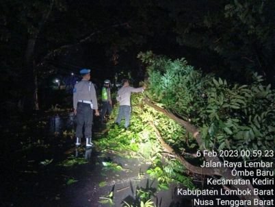 Personel-Gabungan-Polres-Lombok-Barat-Evakuasi-Pohon-Tumbang-di-Desa-Ombe-Kediri-6-768x576-1.jpeg