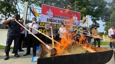 Polres-Lima-Puluh-Kota-Musnahkan-541-Kg-Ganja-Hasil-Tangkapan-Terbesar-Sepanjang-2023.jpg