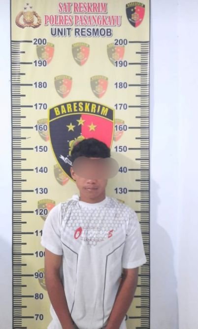 WhatsApp-Image-2022-02-11-at-15.56.31-618x1024-1.jpeg