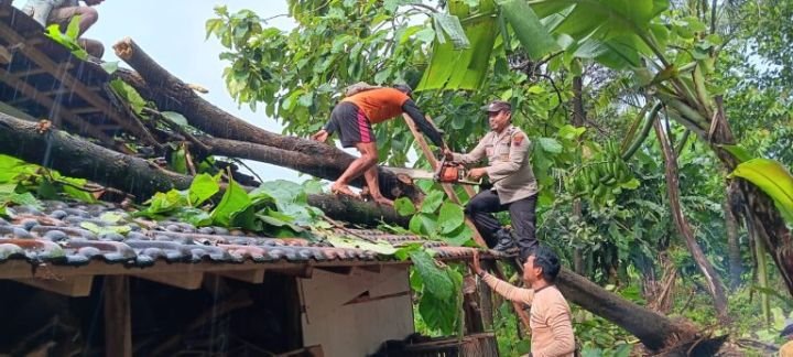 WhatsApp-Image-2025-01-21-at-12.51.34-768x346-1.jpeg