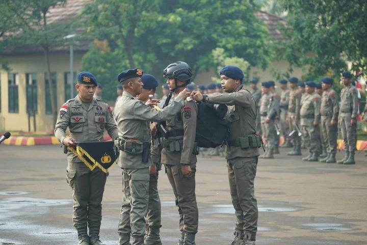 b4880c2a-3c7d-48e3-8cc8-3655391377b6_540667.jpg