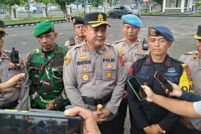 ciamis-625x375-1.jpg