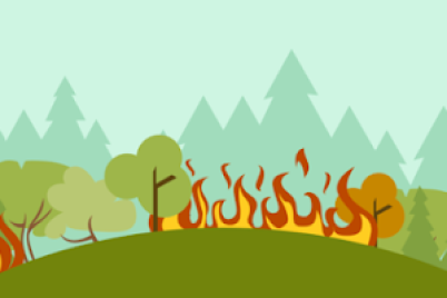 data-bnpb-kebakaran-hutan-di-indonesia-tahun-2020-menurun-81-persen.png