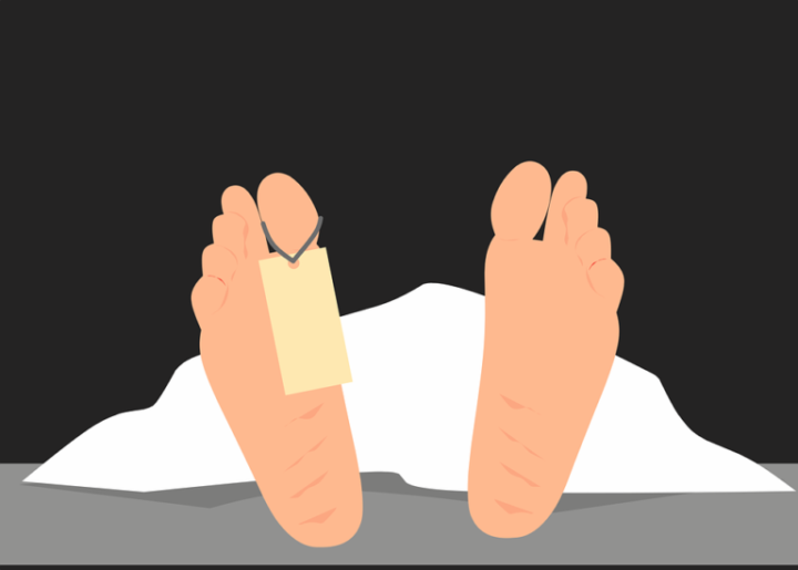 dead-7491342_960_720-1-768x549-1.png