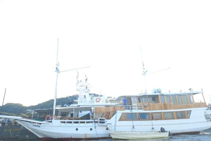 image-1-15.jpeg