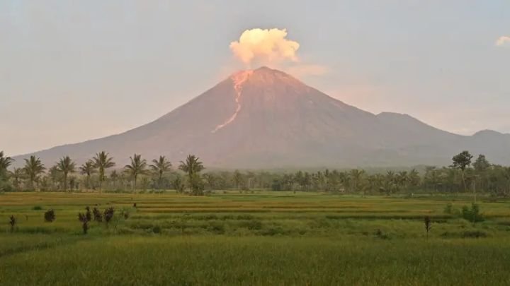 image-1-37.jpeg