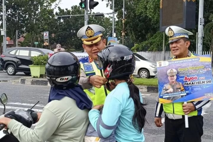 image-2-12.jpeg