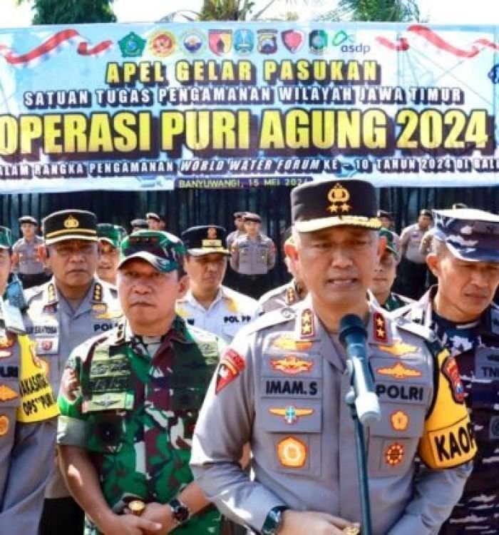 image-2-9.jpeg