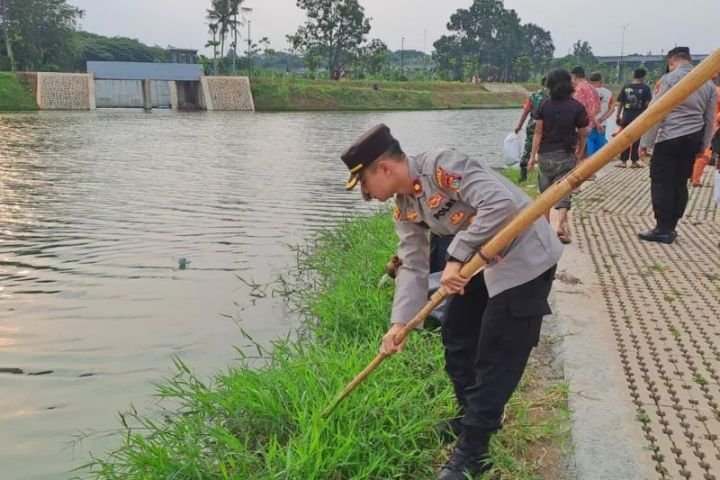 image-4-19.jpeg