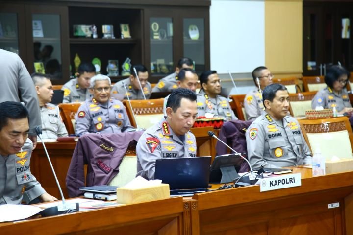 image-4-23.jpeg