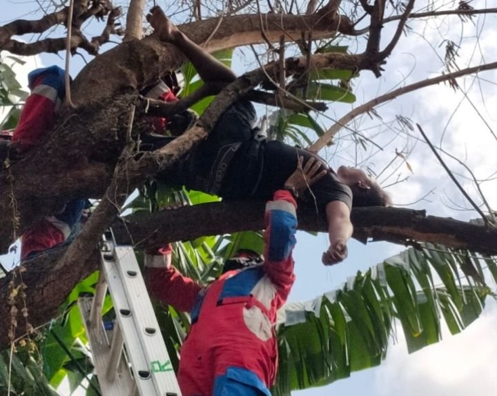 petugas_damkar_evakuasi_pengguna_narkoba_yang_tidur_di_atas_pohon_840x576.jpeg