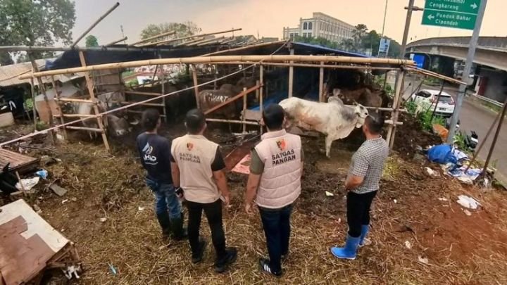 satgas-pangan-polri-tinjau-pasar_169-768x432-1.jpeg